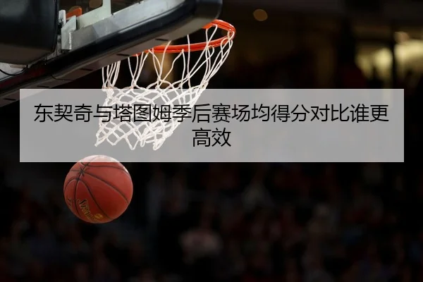 东契奇与塔图姆季后赛场均得分对比谁更高效