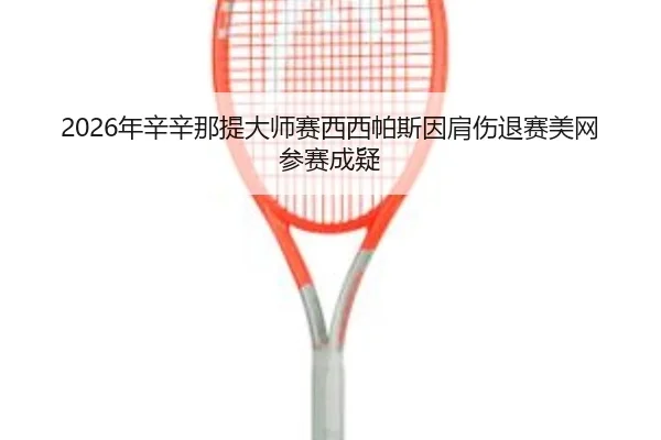 nian-xin-xin-na-ti-da-shi-sai-xi-xi-pa-si-yin-jian-shang-tui-sai-mei-wang-can-sai-cheng-yi-2-348.jpg